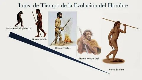 Sapiens перевод