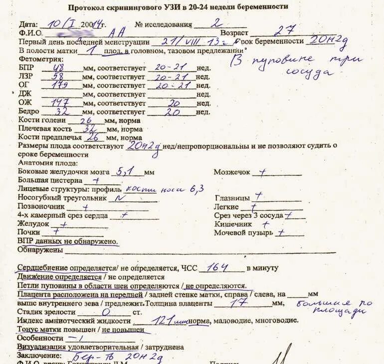 УЗИ 3 скрининг беременности нормы. Протокол УЗИ скрининг 3 триместра. 3 Скрининг сроки проведения УЗИ. УЗИ скрининг 2 триместра.