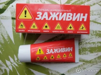 Заживин