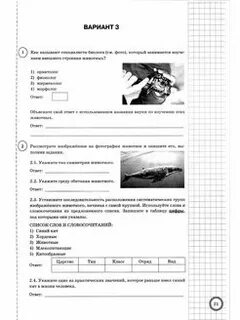 Впр биология 7 класс вариант 2 2023