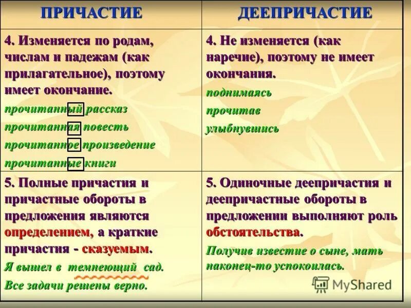 Существо прилагательное