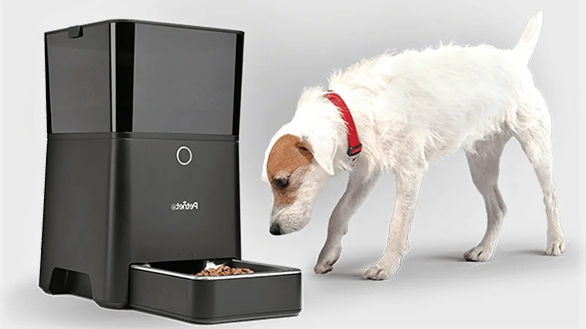 Кормушка Automatic Pet Feeder. Automatic Dog Feeder. Автоматическая кормушка для кошек ксяоми. Автокормушки для собак Pet Feeder.