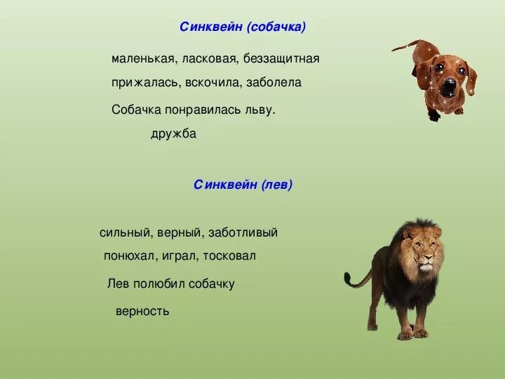 Слова музыки лев. Л.Н.толстой Лев и собачка 3 класс. Синквейн к рассказу Лев и собачка. Синквейн Лев и собачка толстой 3 класс. 3 Класс литературное чтение л. толстой Лев и собачка.