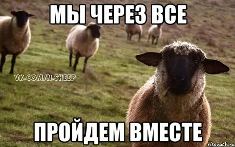 Песня ой девочки я нагулялась хочу замуж