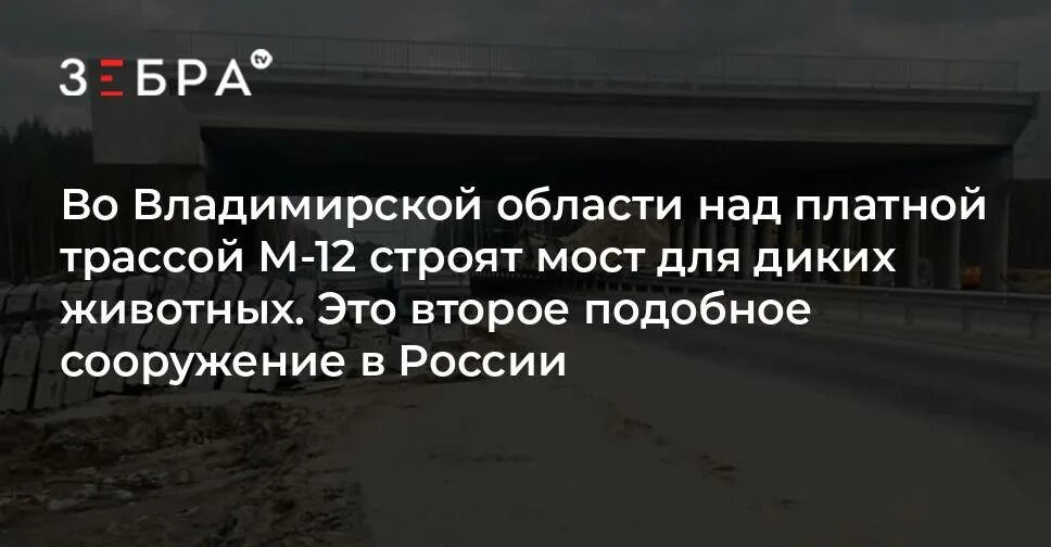 Задолженность по платным дорогам. Задолженность по платным дорогам