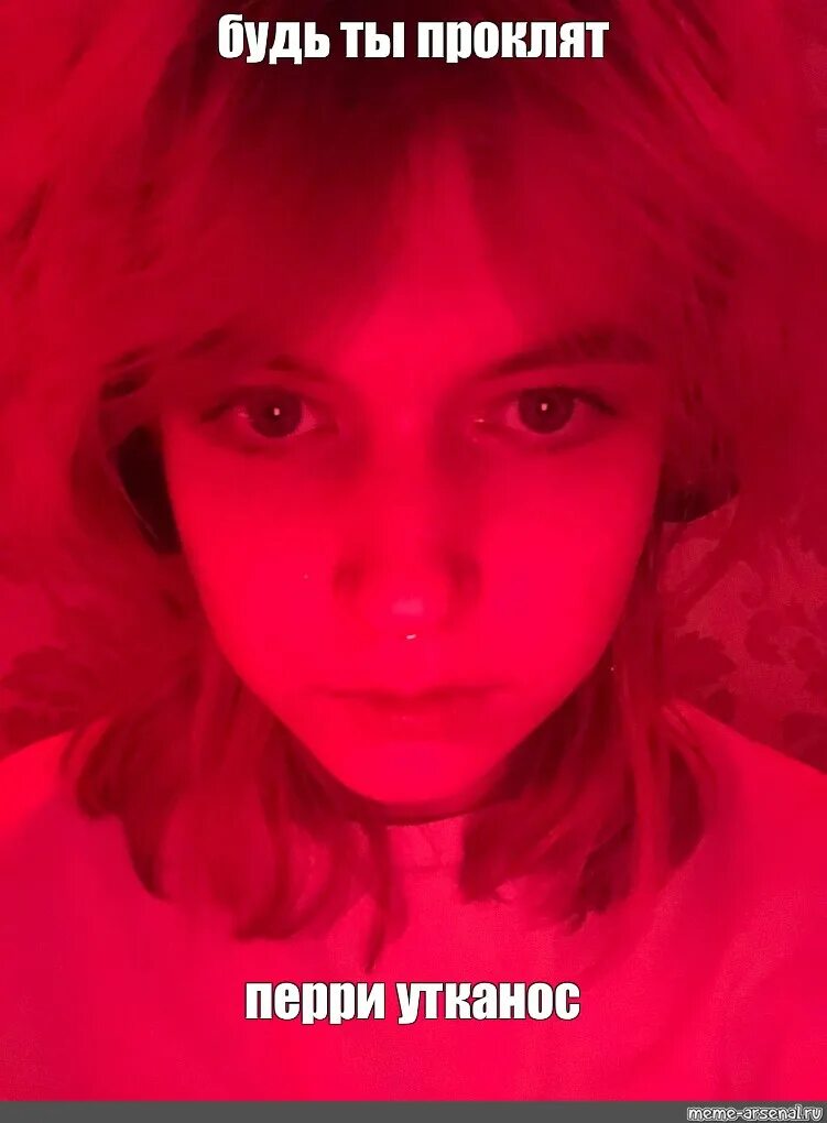 Будь ты проклят перри. Хайнц фуфелшмертц. Трепещи перри утконос мем. Перри утконос фото. Мем трепещи.