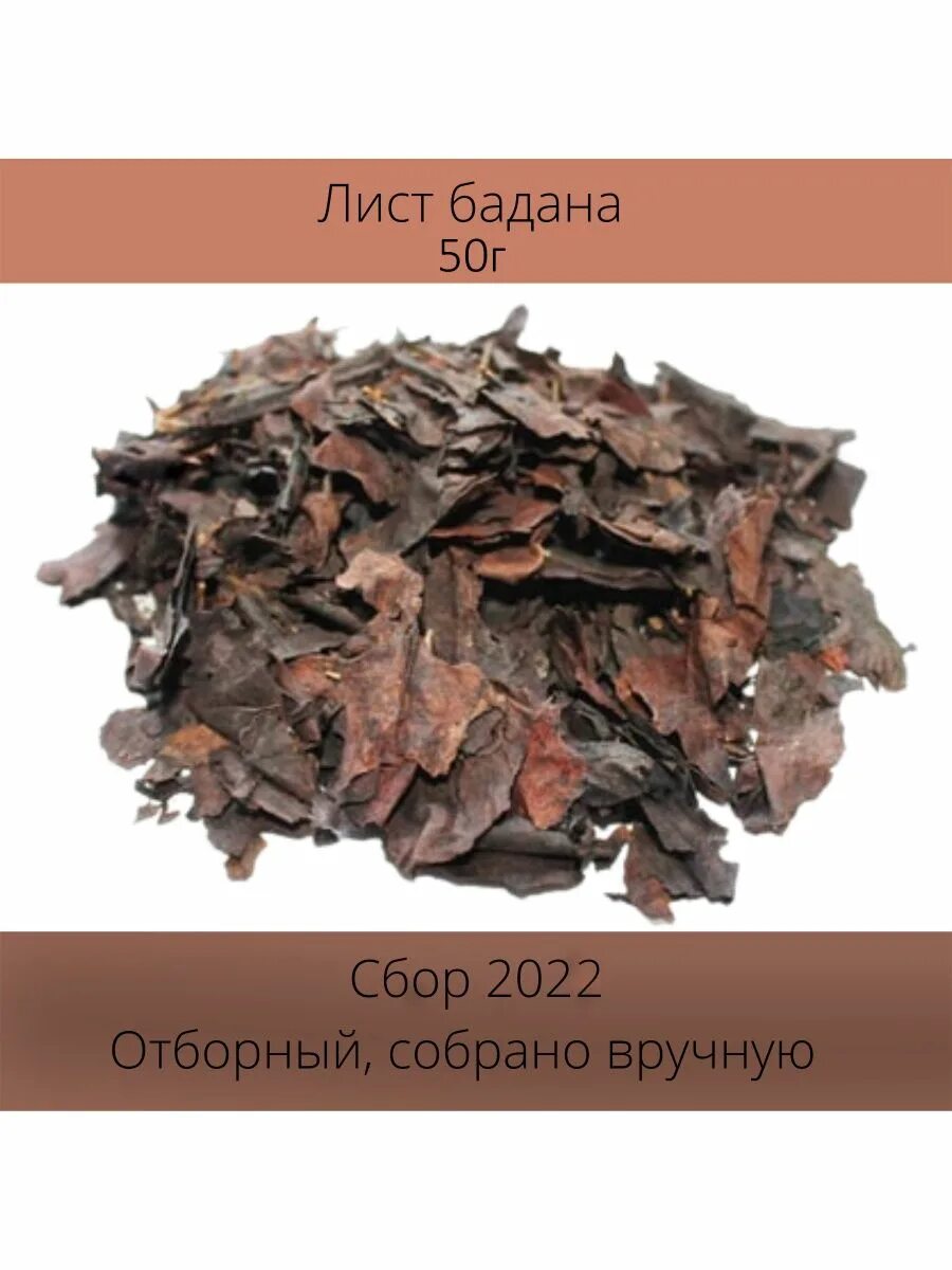 Бадан монгольский чай. Чигирский чай из бадана. Бадан корневище. Чагирский чай. Чагирский чай.