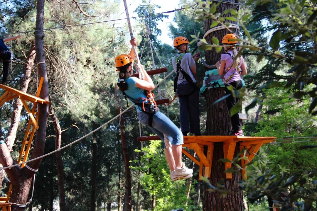 Канада LOCOLANDING Adventure Park. Сочи тарзан парк. Парк приключений крили (Великобритания). Camp Adventure Park план. Парк приключений игра