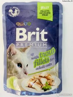 Brit корм для кошек