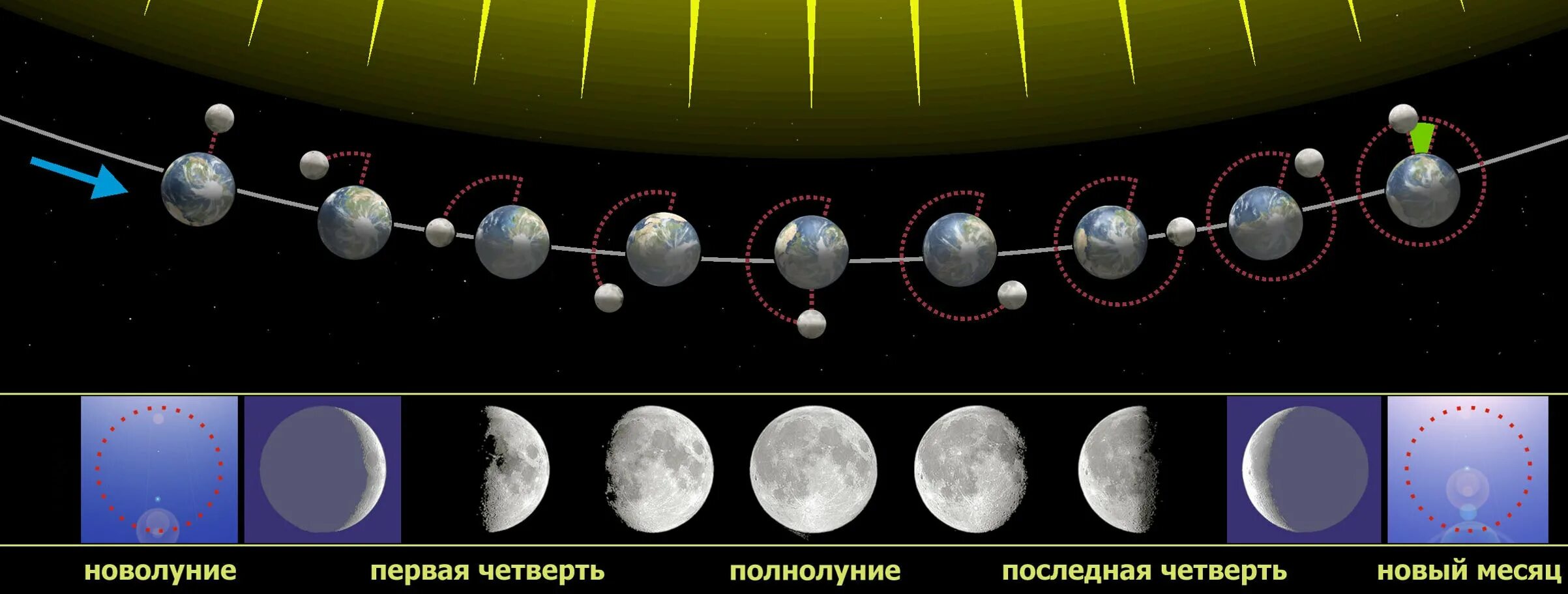 Почему в месяцах разное количество