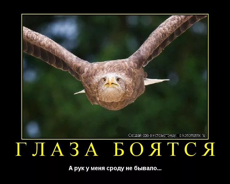 Выражение глаза боятся