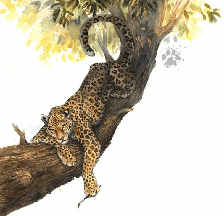 Гепард на дереве. Леопард на дереве. Сказочные Дикие кошки. Рисунки леопардов на дереве.
