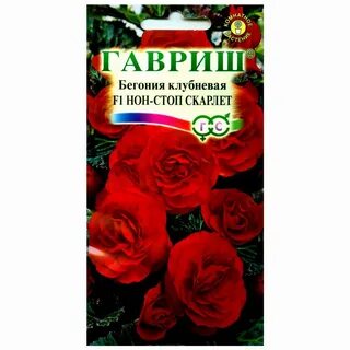 Семена бегонии клубневой