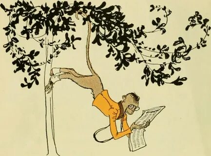 A chimp can climb