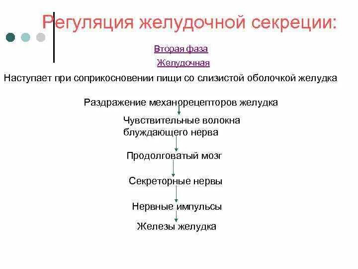 Регуляция секреции желудочного сока. Желудочный сок регуляция. Регуляция секреции пищеварительных соков биохимия. Фазы желудочной секреции физиология схемы. Желудочный сок регуляция.