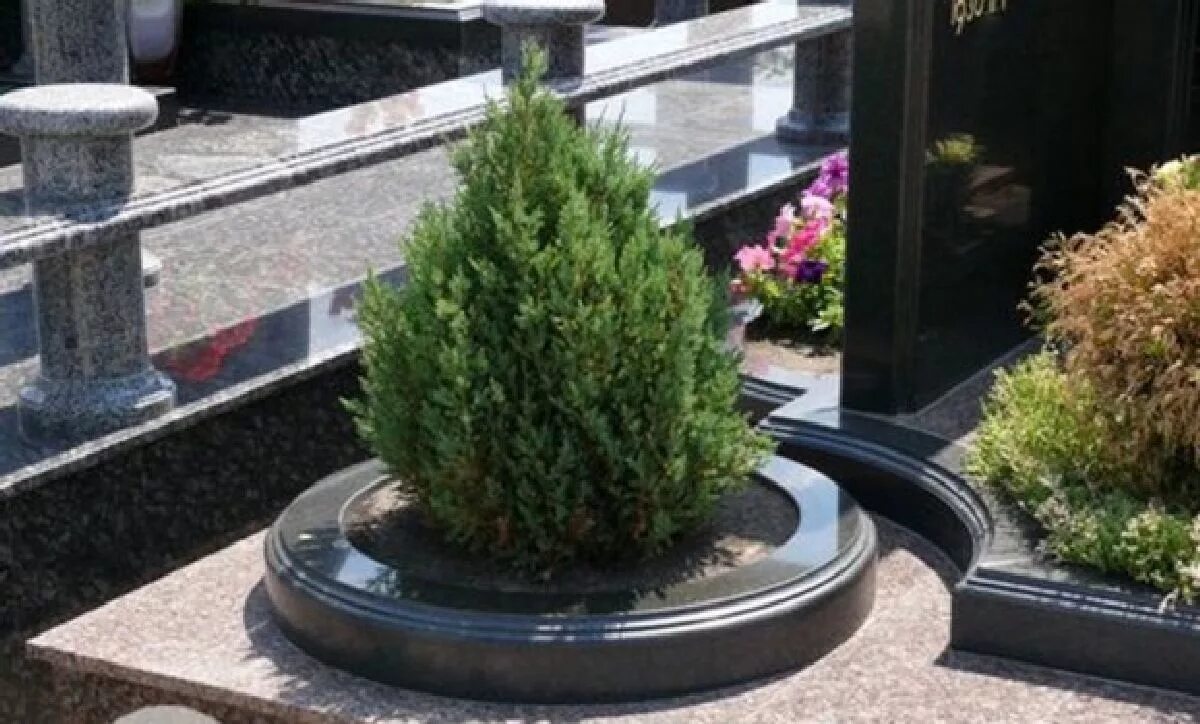 композиция из шишек на могилу. солдатские могилы. могильные ели. декоративный щебень на кладбище. лапник на похоронах.