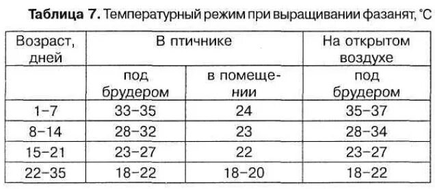 Температура содержания перепелов