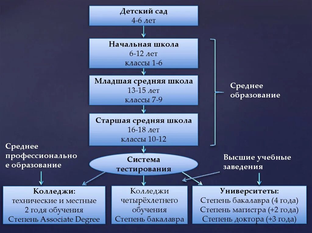 Образование в Америке схема. Образовательная система США схема. Система образования в США схема. Структура системы образования в США.