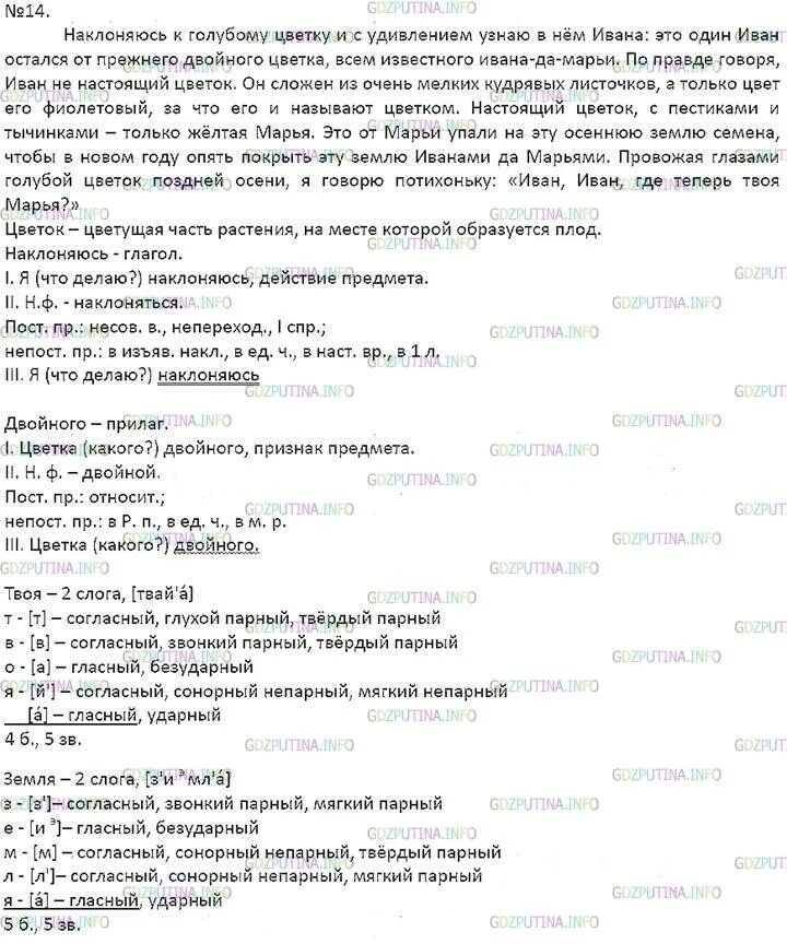 Русский язык 7 класс упр 14. Наклоняюсь к голубому цвету и с удивлением узнаю в нем Ивана это один. Наклоняюсь к голубому цветку и с удивлением. Наклоняешься к голубому цветку и с удивлением