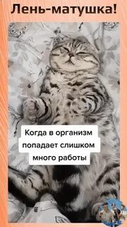 Лень матушка