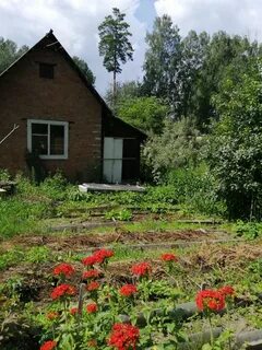 Дача кольцово