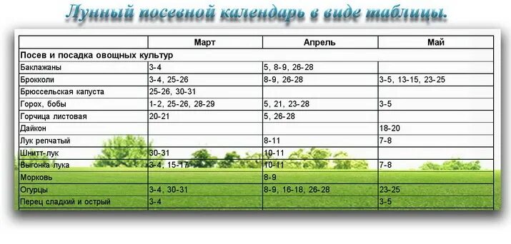 Удачные дни для посадки огурцов в мае. Лунный календарь для посадки огурцов. Благоприятные дни для посадки огурцов. Благоприятные дни для посадки огурцов. Огурцы благоприятные дни для посадки.