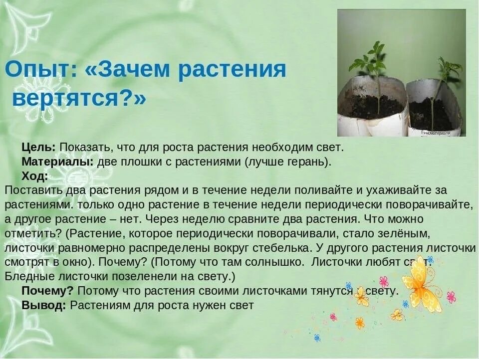 Почему в опыте