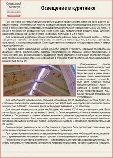 Минимальная температура в курятнике
