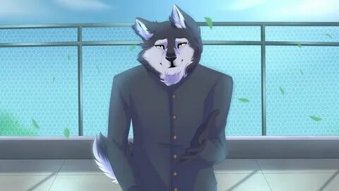 Ace furry