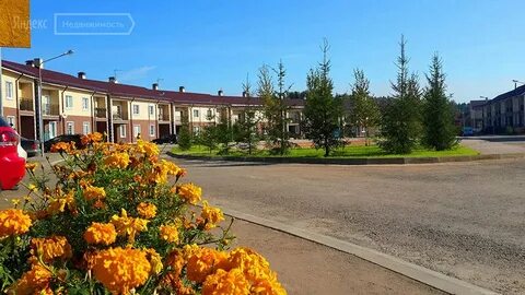 Поселка зеленый город