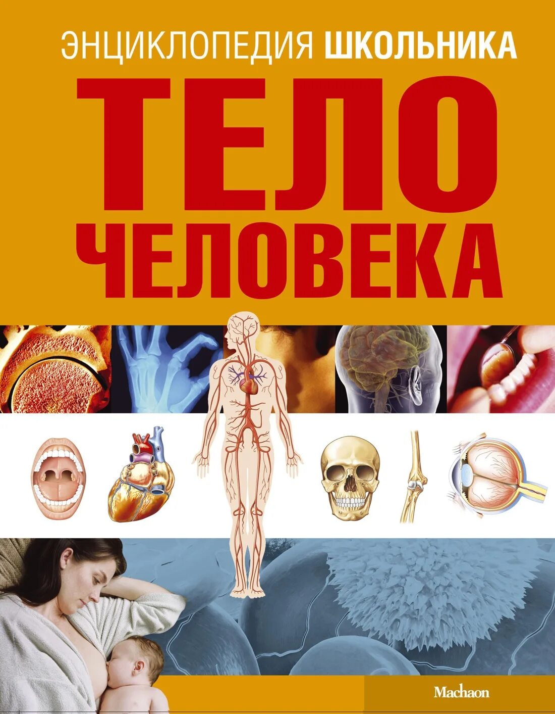 Тело человека энциклопедия школьника Кассан. Человек. Энциклопедия. Тело человека книга. Книга энциклопедия тело человека. Книга энциклопедия человек