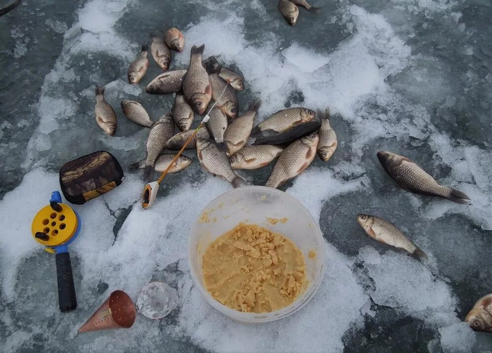 Можно ли ловить рыбу в марте. Ловля карася зимой. Зимняя рыбалка на карася. Рыбы зимой. Ловля карася зимой со льда.