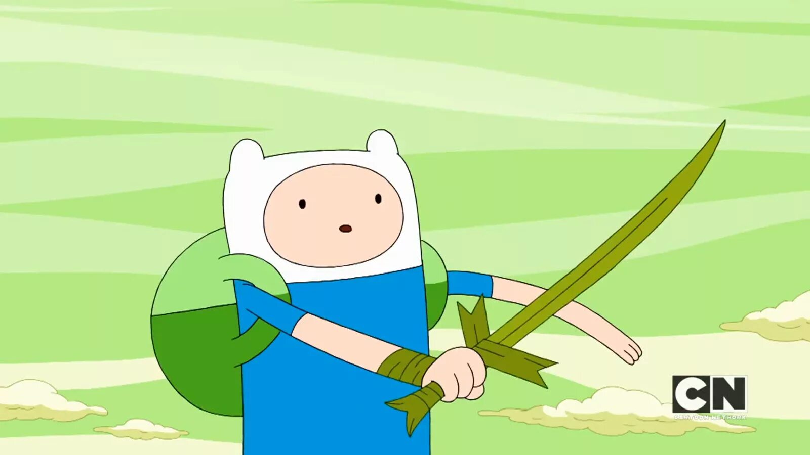 Fin of the first