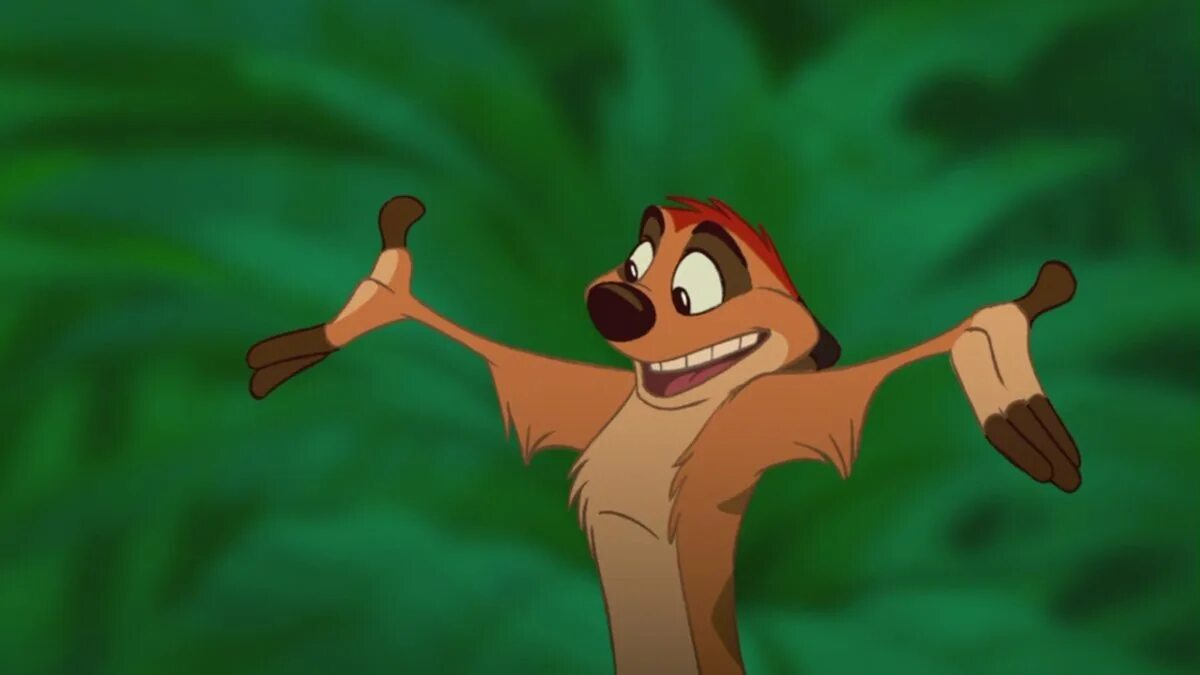 Timon rdd. Timon rdd