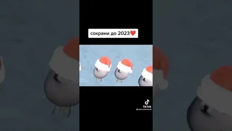 Мандарины шампус надо доставать поднимайтесь