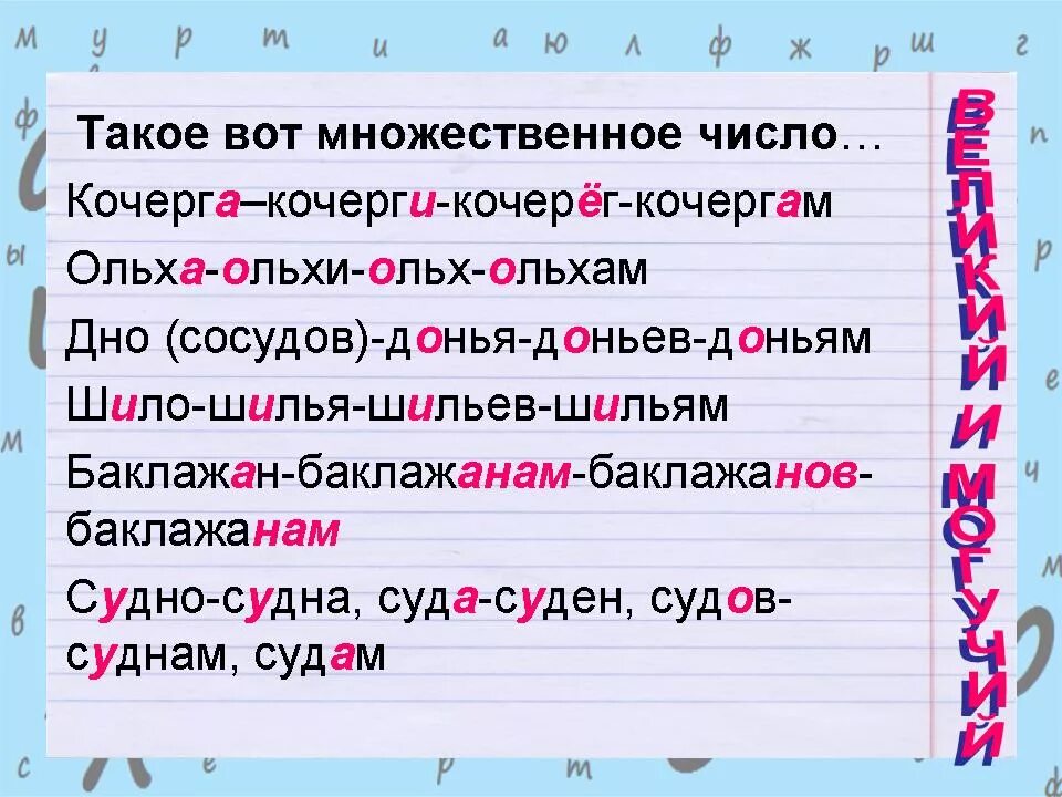 Множественнле число Сова дно. Мужественное число слово дно. Дно АО множеством числе. Множественое число слова дно. Падеж слова шило