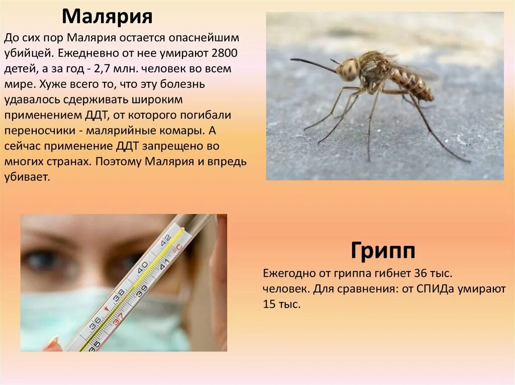Особенность малярии. Малярия симптомы и профилактика.