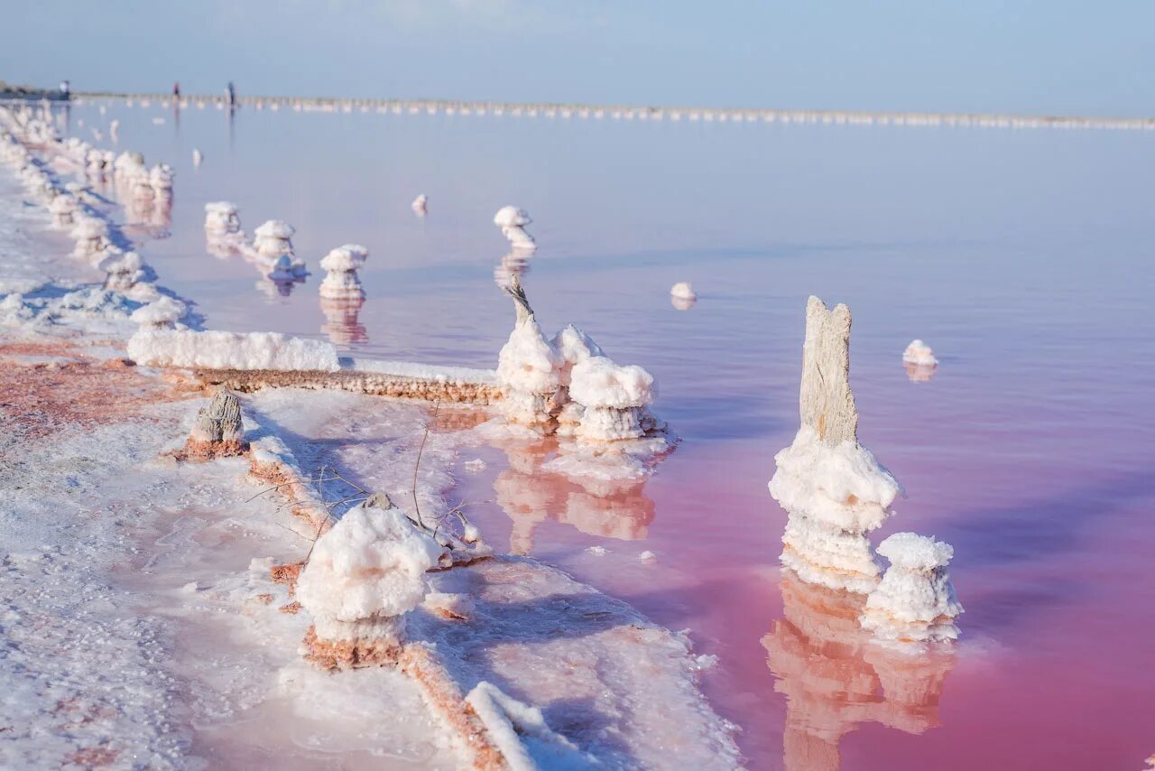 Розовое озеро сиваш. Сасык-Сиваш. Сасык Сиваш озеро. Сасык-Сиваш Евпатория. Озеро Сасык-Сиваш, Крым, Евпатория.