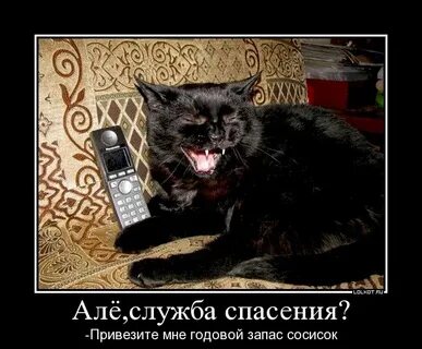 Злой спасет