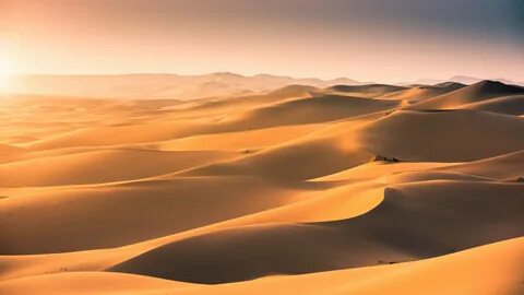 Dune 8k