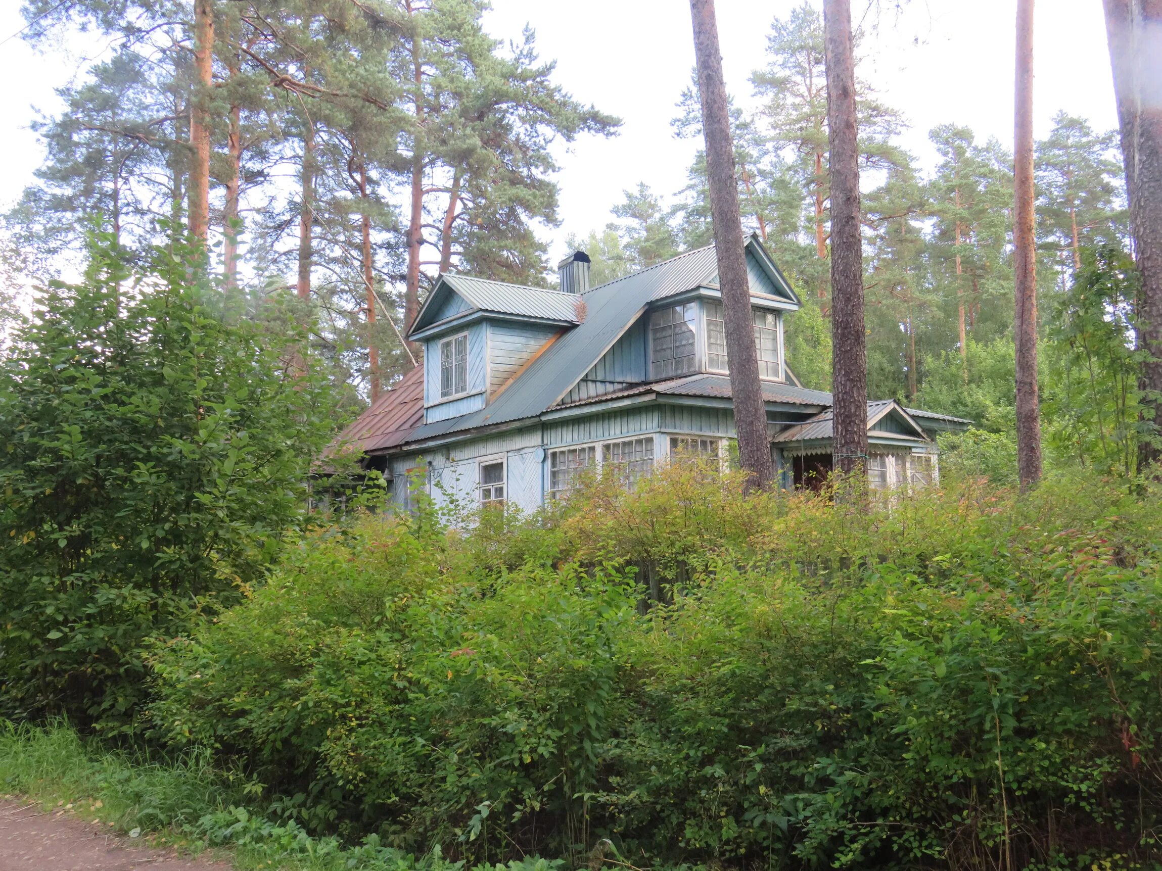 озон вырица