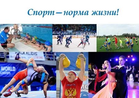 Проект спортивная жизнь