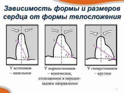 От чего зависит форма