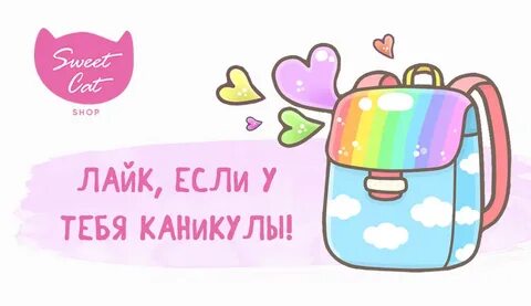 Свит кэт шоп иваново