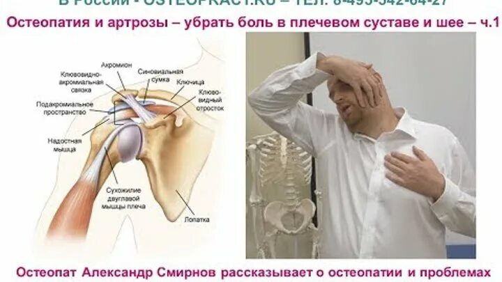 Сильная боль в области плечевого сустава. Плечевые суставы остеопатия. Физиопроцедуры для плечевого сустава. Шейно-плечевой сустав. От боли в плечевом суставе.