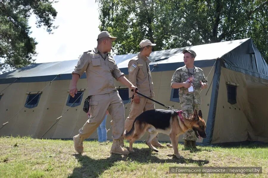 Кинолог охраны. Кинологи в белоруссии. Сколько зарабатывают кинологи белорусских рублей. Открытие кинологического центра. Таможня кинологи узбекистан.