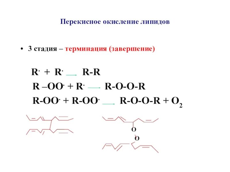 Пол липидов. Схема инициации перекисного окисления липидов. Схема перекисного окисления липидов биохимия. Разветвленная цепная реакция перекисного окисления липидов. Перекисное окисление липидов биохимия.