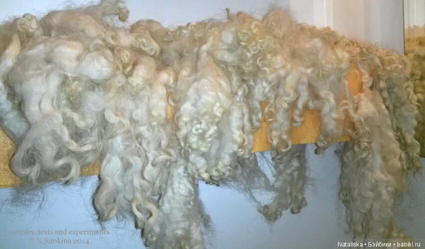 Как высушить шерсть после купания. Сушка шерсти. Ручная стирка. Овечья шерсть сырец. Овечья шерсть сырец.