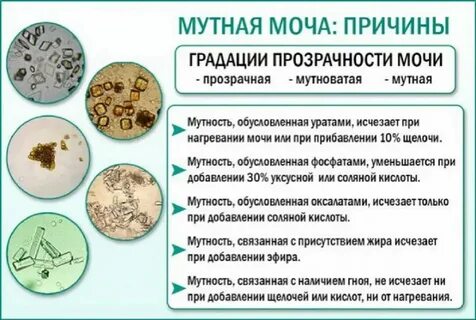 Сукровица после полового акта