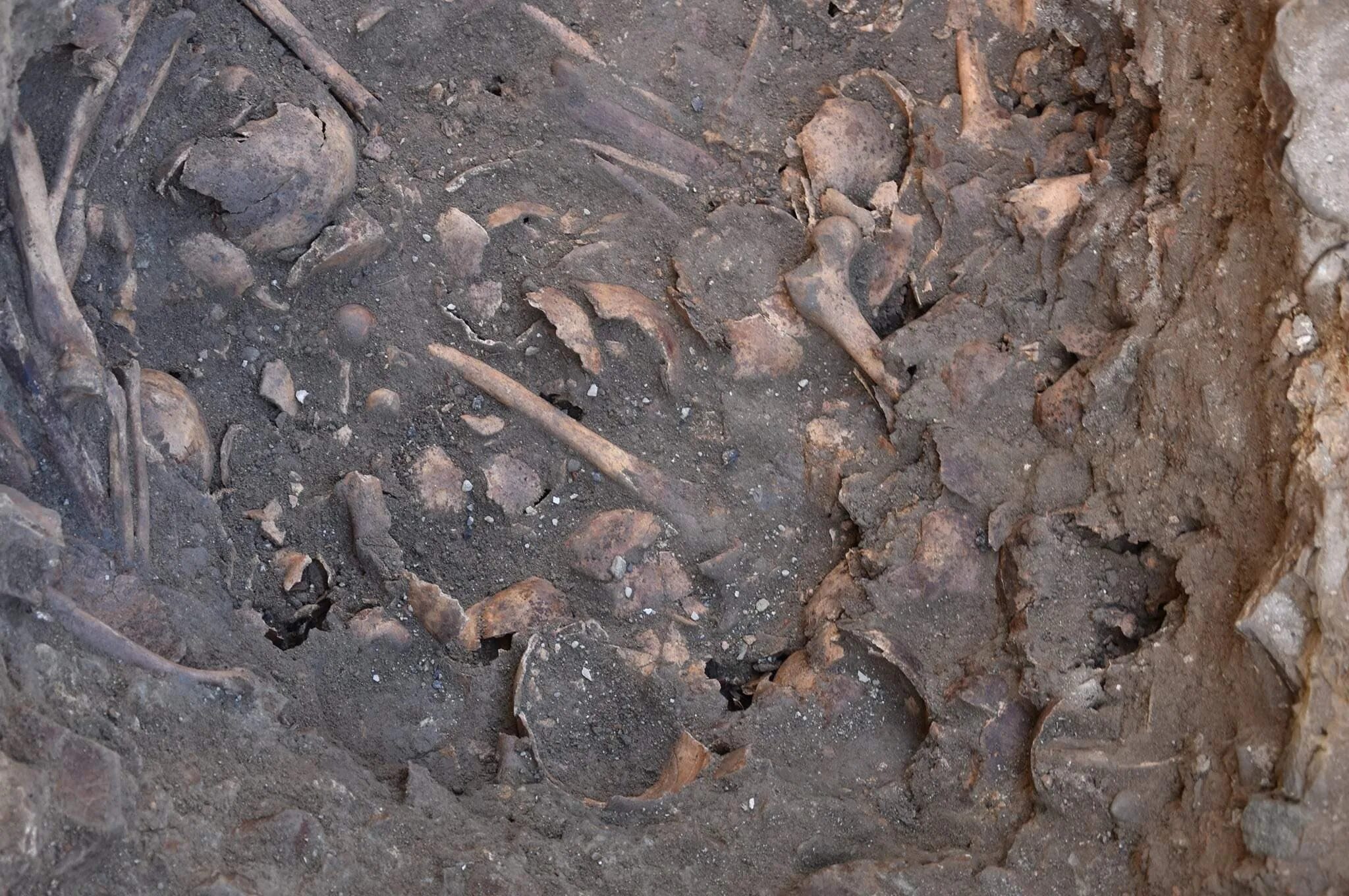 Хранилище костей. Нашли человеческие кости. В Польше нашли скелет женщины.